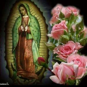 Meet your Posher, Annette